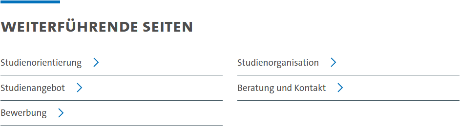Screenshot einer Box der Vorlage "Direkteinstieg".